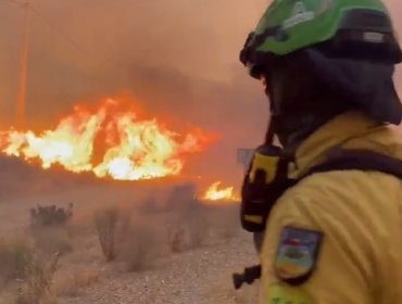 Líderes europeos expresan sus condolencias por el mortal incendio en Andalucía que deja 12 fallecidos y 23 desaparecidos