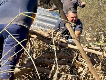 Limache refuerza cuadrillas de limpieza previo al intenso sistema frontal en zona central