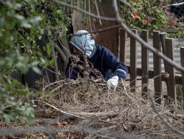 Concón activa plan de contingencia y despliega equipos ante intenso sistema frontal pronosticado para la Quinta Región