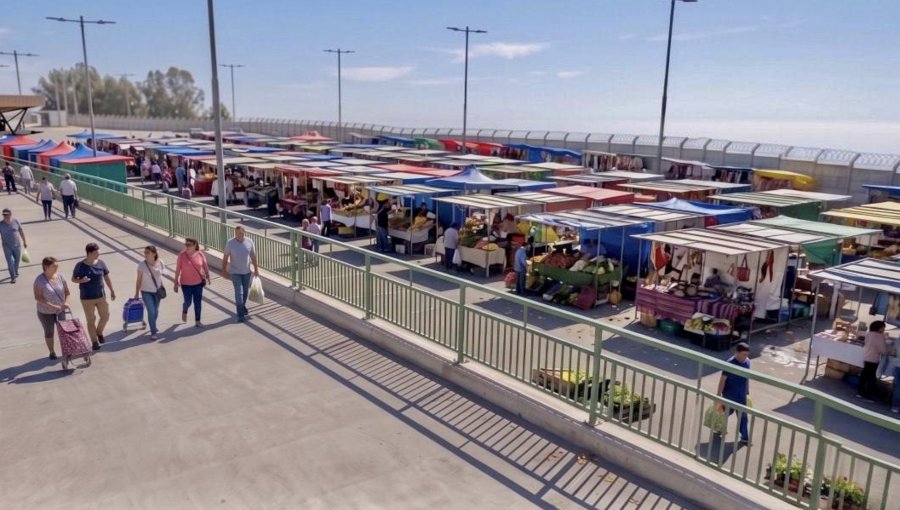 Delegado Millones plantea intervenir la feria Caupolicán tras tragedia en Viña del Mar: "Esta desgracia tiene que ser una lección"