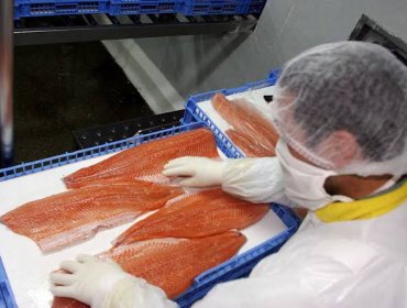 Presidente de SalmonChile advierte impacto ante posible arancel de EE.UU.: "Afecta a cientos de pequeñas y medianas empresas"
