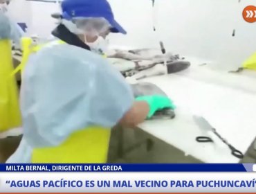 Dirigenta vecinal de Puchuncaví por planta de jibia: "Estamos solicitando que pase por evaluación de impacto ambiental porque las secuelas son muchas"