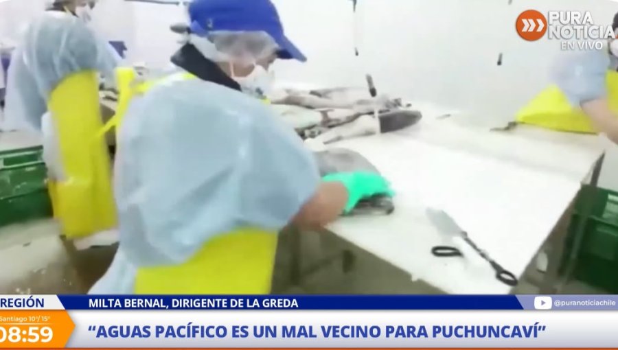 Dirigenta vecinal de Puchuncaví por planta de jibia: "Estamos solicitando que pase por evaluación de impacto ambiental porque las secuelas son muchas"