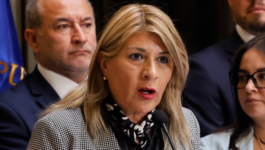 Diputada Parisi pide "empatía" ante proyecto que busca obligar a escuchar latidos fetales en casos de aborto