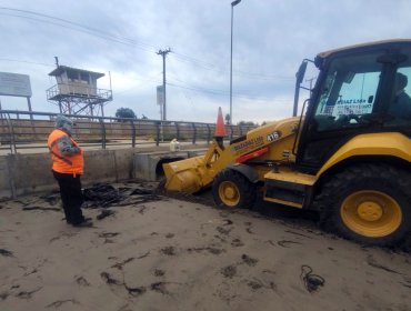 Quintero activa Cogrid Comunal y prepara albergues ante sistema frontal que dejaría hasta 220 milímetros de lluvia