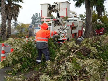 Chilquinta cuadruplicará sus brigadas en terreno ante intenso sistema frontal en la región de Valparaíso