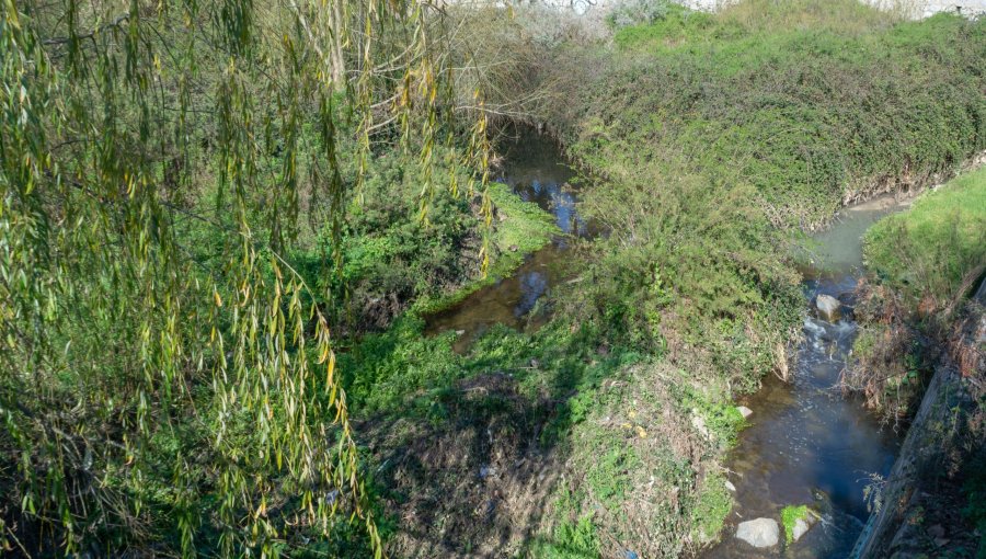 Alcaldesa de Quilpué advierte posible desborde de estero y apunta a “zonas inundables” de Belloto y Belloto Norte