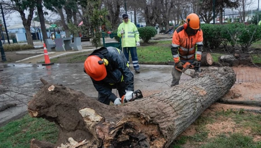 Autoridades de Villa Alemana realizan balance preliminar de las consecuencias del sistema frontal tras las primeras horas de lluvia