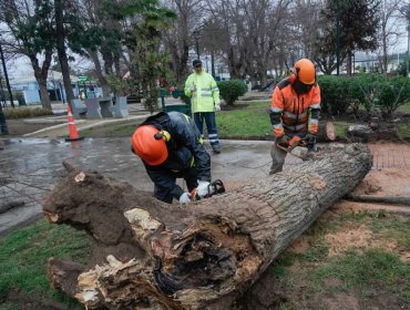 Autoridades de Villa Alemana realizan balance preliminar de las consecuencias del sistema frontal tras las primeras horas de lluvia
