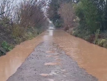 Declaran alerta amarilla en Cauquenes y Parral por crecida del río Perquilauquén