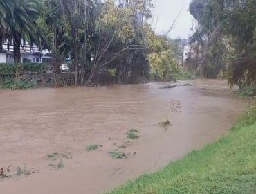 Crece preocupación por eventual desborde del estero Reñaca: caudal ya llega a su límite