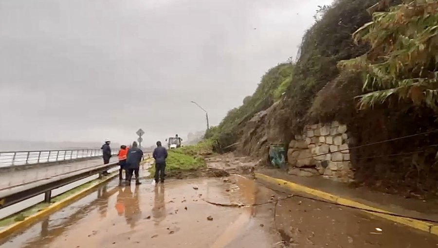 Borde costero de Concón fue cerrado por deslizamientos de tierra y caída de árboles