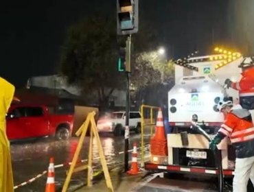 Insólito hallazgo en alcantarillado de Puente Alto: Sacos con cabezas de caballo fueron encontrados durante trabajos de limpieza