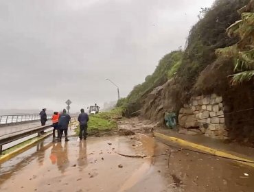 Borde costero de Concón fue cerrado por deslizamientos de tierra y caída de árboles