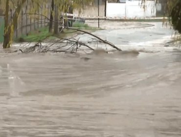 Solicitan evacuar los sectores Ribera Belloto Norte, Infante y El Sol por desborde del estero Quilpué