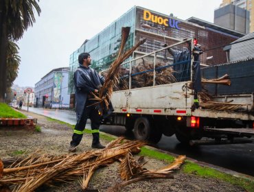 Seremi del Trabajo informa que no se registran accidentes laborales graves por sistema frontal en la región de Valparaíso