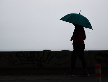 Cámara Chilena de la Construcción activa plan de apoyo para trabajadores afectados por sistema frontal en la región de Valparaíso