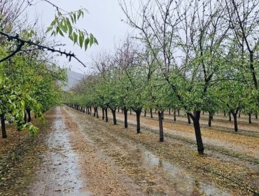 Minagri descarta mayores daños en el agro por sistema frontal, pero advierte posible afectación a cultivos