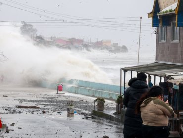 "Fue peor que un tsunami": alcalde de Penco reporta 12 viviendas destruidas y pide ayuda urgente