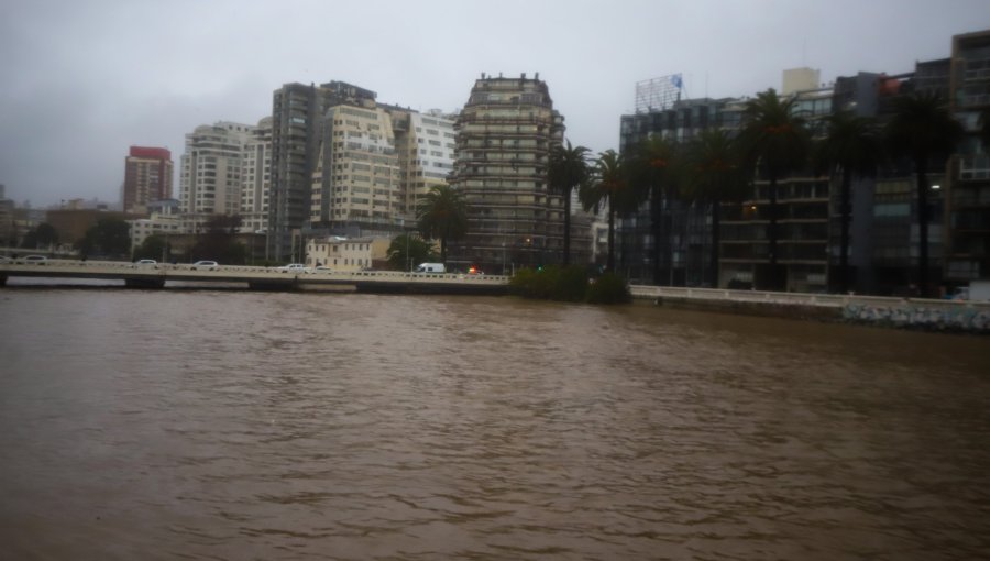 Senapred activa Alerta SAE en Viña del Mar por crecida del estero Marga Marga: llama a evitar transitar por sector de la ribera
