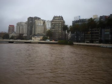 Senapred activa Alerta SAE en Viña del Mar por crecida del estero Marga Marga: llama a evitar transitar por sector de la ribera
