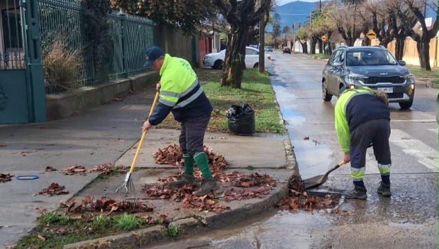 Más de 600 requerimientos fueron atendidos por la municipalidad de Limache en medio del sistema frontal