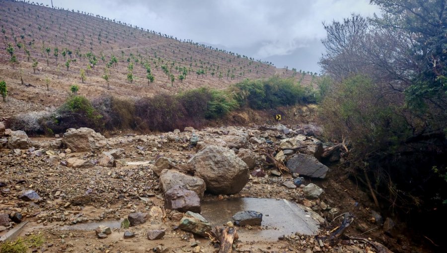 Caída de rocas en La Cruz bloquea por completo la ruta F-366 entre Lo Rojas y Boco