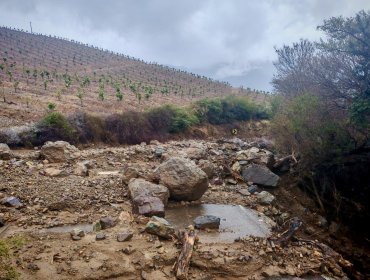 Caída de rocas en La Cruz bloquea por completo la ruta F-366 entre Lo Rojas y Boco