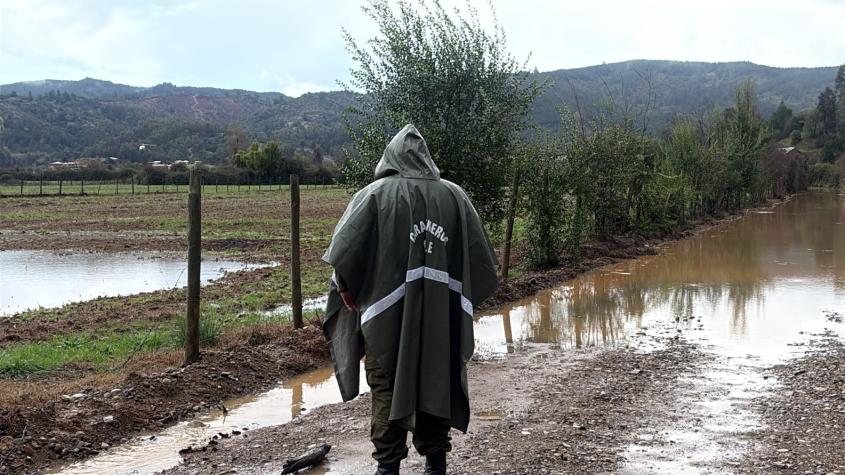 Intensa búsqueda en Curepto: trabajador de CGE desaparece tras ser visto por última vez cerca de estero desbordado