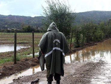 Intensa búsqueda en Curepto: trabajador de CGE desaparece tras ser visto por última vez cerca de estero desbordado
