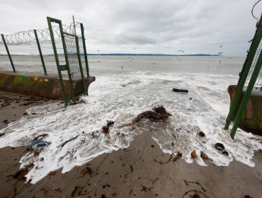 Armada emite nuevo aviso de marejadas para la costa de la región de Valparaíso por ingreso de nuevo sistema frontal