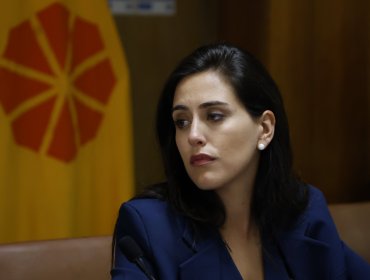 Ripamonti pide investigación de la SEC por prolongados cortes de luz en Viña del Mar