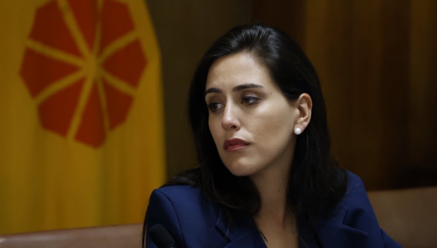 Ripamonti pide investigación de la SEC por prolongados cortes de luz en Viña del Mar