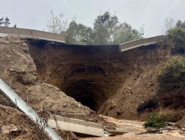 Socavón obliga al cierre total de la ruta entre Catapilco y La Laguna en Zapallar