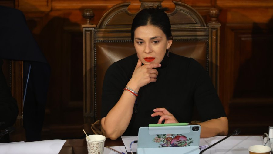 Senadora Cariola solicita al Gobierno declarar Estado de Catástrofe en la provincia de Petorca por sistema frontal