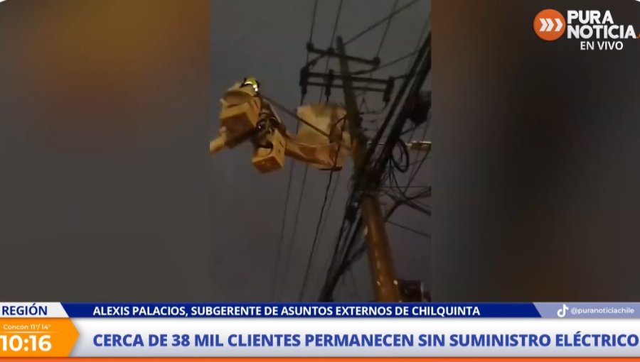 Chilquinta apunta al arbolado urbano tras prolongados cortes de luz en la región de Valparaíso: "Esto que está pasando ahora va a volver a ocurrir"