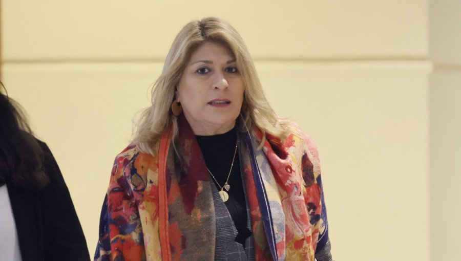 Diputada Zandra Parisi confirma rechazo del PDG a cuatro puntos de la megarreforma: "La idea es que se mejoren"