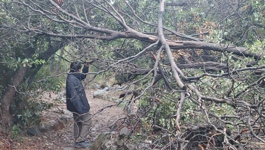 Conaf extiende hasta el 27 de julio el cierre de parques y reservas de la región de Valparaíso