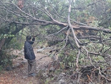 Conaf extiende hasta el 27 de julio el cierre de parques y reservas de la región de Valparaíso