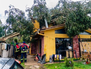 Municipio de Quilpué presenta recurso de protección por prolongados cortes de energía que afectaron a cerca de 30 mil familias