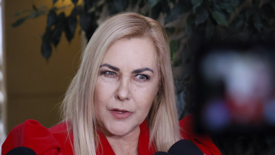 Diputada Jiles por dichos de exministra Sedini: "Demostró que tiene un tremendo futuro en el vodevil"