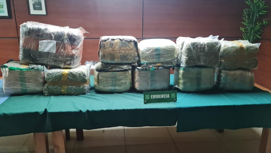 Conductor no respetó una luz roja y le descubrieron más de 63 kilos de marihuana en su furgón en La Granja