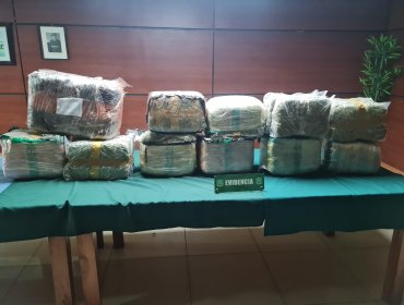 Conductor no respetó una luz roja y le descubrieron más de 63 kilos de marihuana en su furgón en La Granja