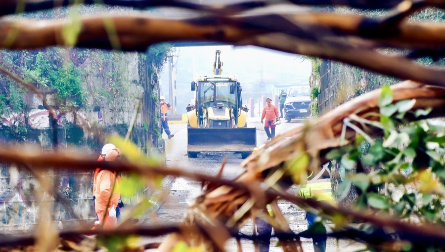 Corte de Apelaciones acoge a trámite recurso de protección del Municipio de Quilpué contra Chilquinta por prolongados cortes de luz