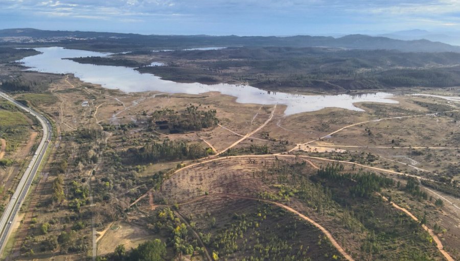 Lago Peñuelas de Valparaíso vuelve a respirar: últimas lluvias elevan su espejo de agua al 32% y reaniman su ecosistema