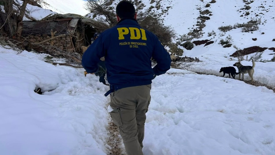 PDI halla con vida a tres crianceros desaparecidos tras sistema frontal en Alto del Carmen