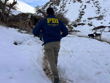 PDI halla con vida a tres crianceros desaparecidos tras sistema frontal en Alto del Carmen