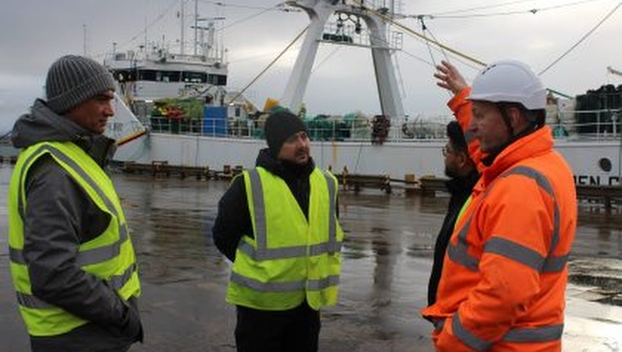 Naviera chilena busca crear ruta entre Punta Arenas y las islas Falkland-Malvinas
