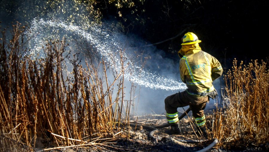 Informe de la PDI apunta a presuntas alertas SAE falsas de Conaf tras megaincendio de 2024