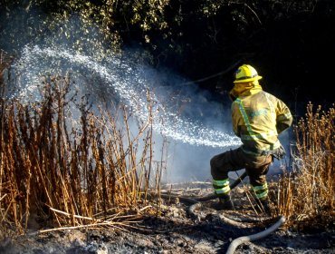 Informe de la PDI apunta a presuntas alertas SAE falsas de Conaf tras megaincendio de 2024